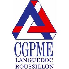 Bernard Rossa, Chargé de mission CGPME LR